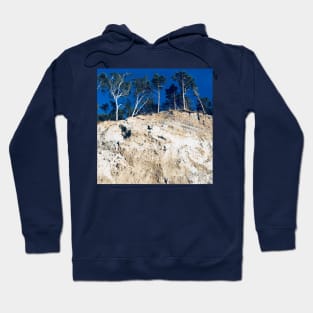 Pine trees Hoodie